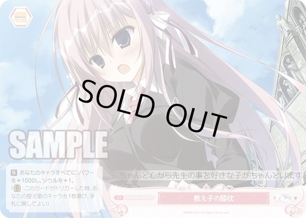 画像1: 【SR仕様(C)】教え子の膝枕[WSR_OS06/R06-075S] (1)