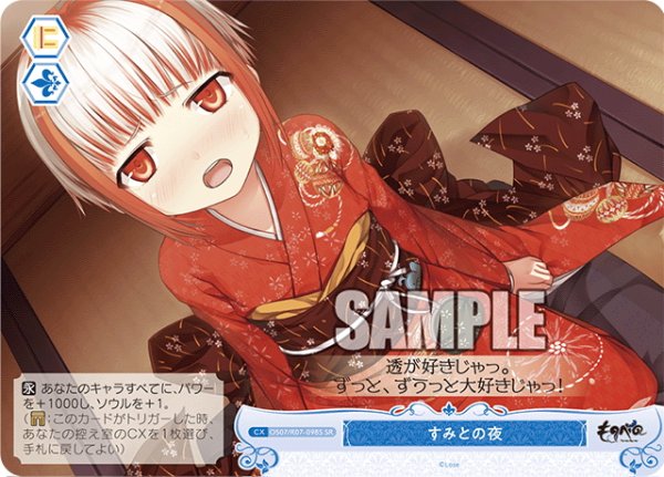 画像1: 【SR仕様(C)】すみとの夜[WSR_OS07/R07-098S] (1)