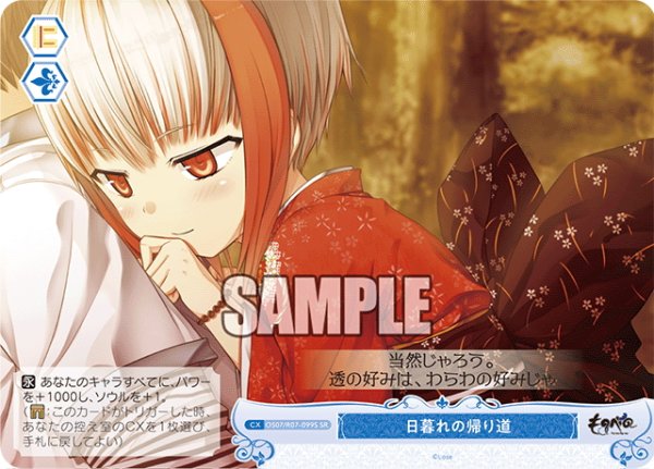 画像1: 【SR仕様(C)】日暮れの帰り道[WSR_OS07/R07-099S] (1)