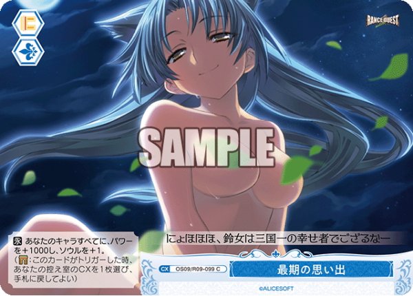 画像1: 最期の思い出[WSR_OS09/R09-099C] (1)
