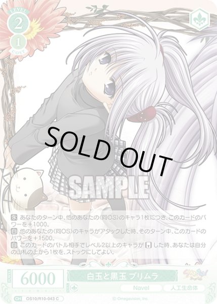 画像1: 白玉と黒玉 プリムラ[WSR_OS10/R10-043C] (1)