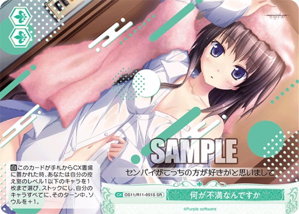 画像1: 【SR仕様(C)】何が不満なんですか[WSR_OS11/R11-051S] (1)