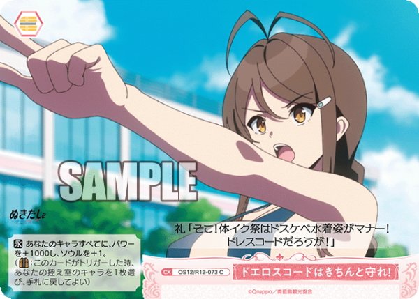 画像1: ドエロスコードはきちんと守れ！[WSR_OS12/R12-073C] (1)