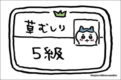 ブシロード スリーブコレクション ハイグレード Vol.3709 ちいかわ『草むしり検定5級』(1個)[新品商品]